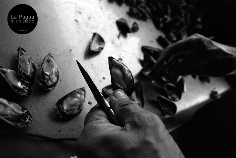 ricette_cozze