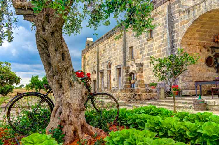 puglia-farmhouse-masseria