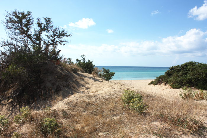 spiaggia-dune-san-pietro-in-bevagna