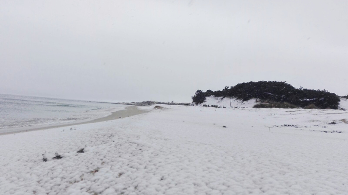 spiaggia-porto-cesareo-inverno